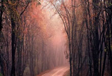 88体育:talkSPORT:尹棹泳到布莱顿的转会费为200万英镑.