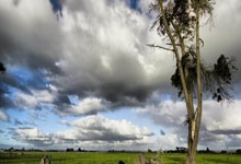 88体育：[德甲]弗赖堡角球开出 古尔德头球扳回一城.